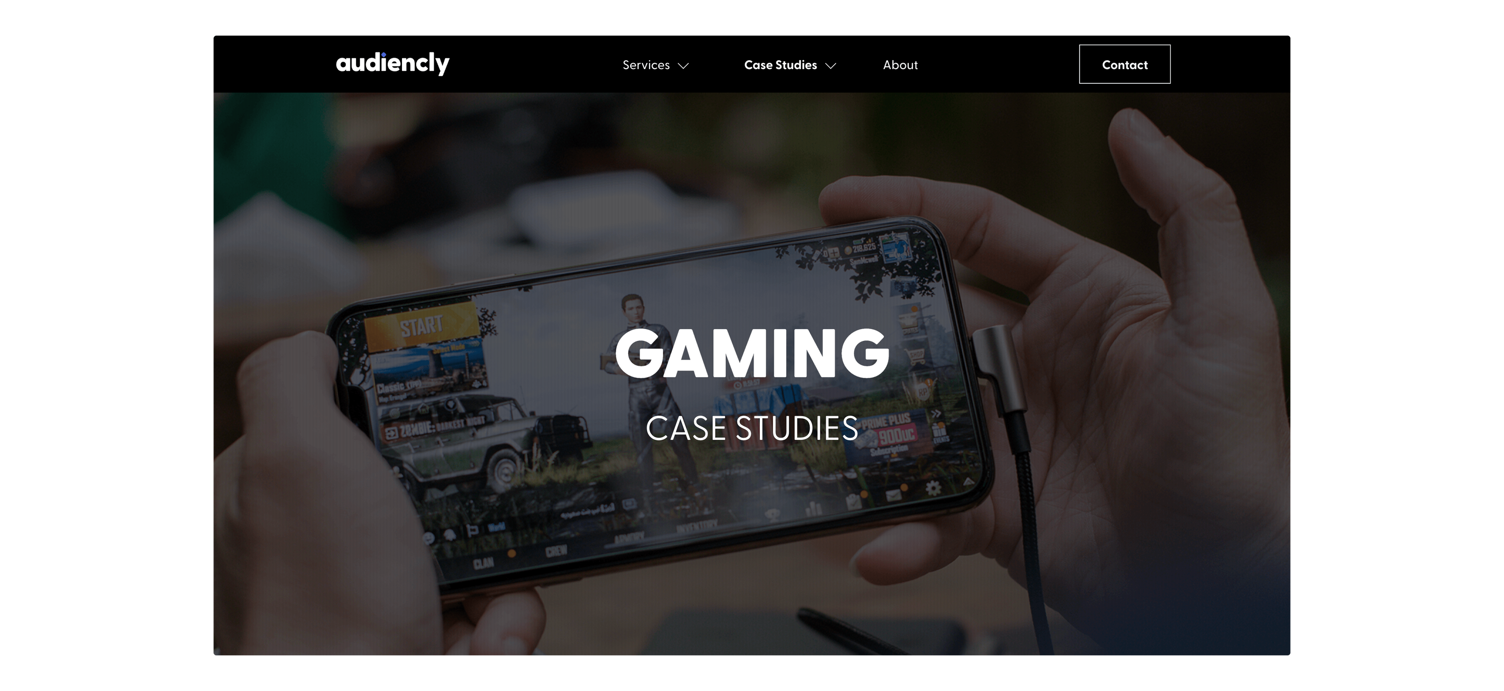 Case Study Page